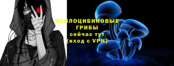 дживик Баксан