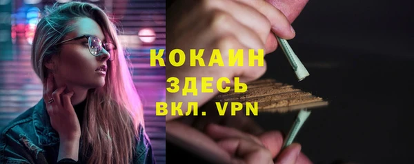 дживик Баксан