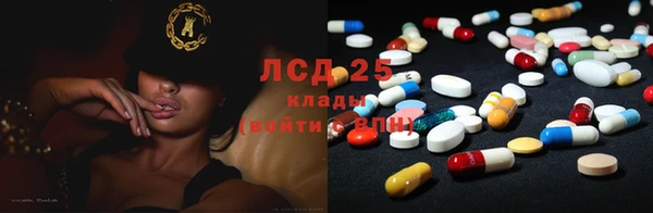 дживик Баксан