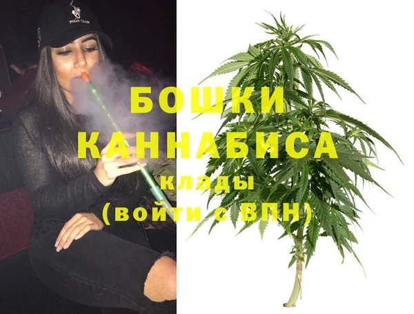 круглые Гусев