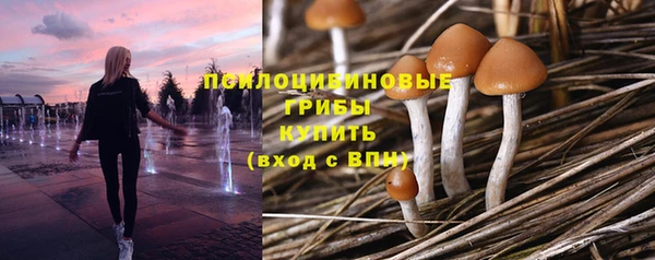 дживик Баксан