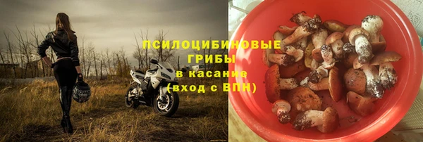 молекула духа Краснослободск