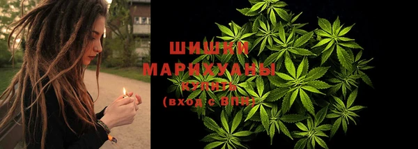 гидропоника Балахна