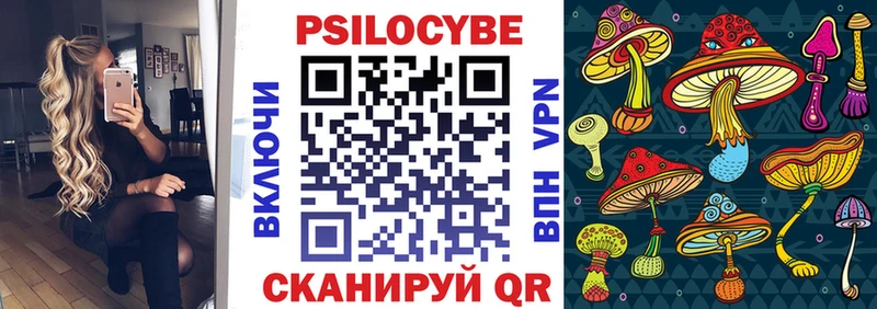 Псилоцибиновые грибы Cubensis  Коммунар 