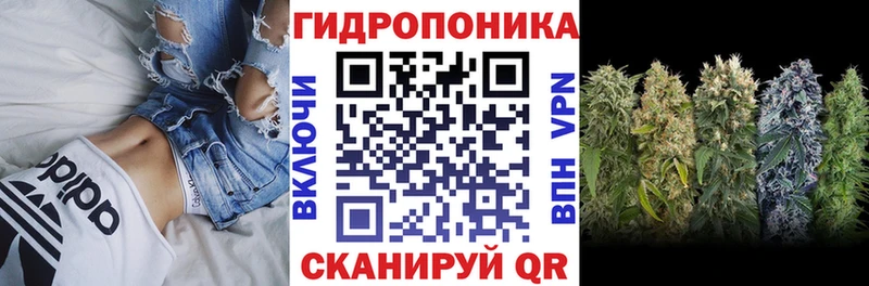 Бошки марихуана Amnesia  omg ТОР  Коммунар 